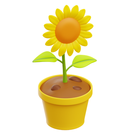 Tournesol  3D Illustration