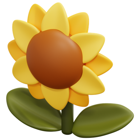 Tournesol  3D Icon