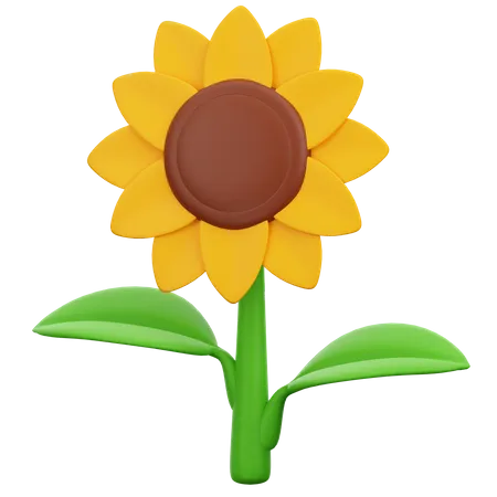 Tournesol  3D Icon