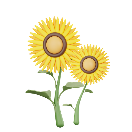 Tournesol  3D Icon