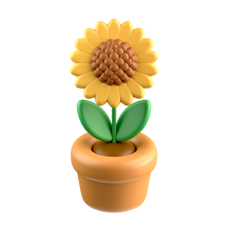 Tournesol  3D Icon