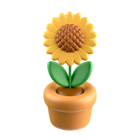 Tournesol  3D Icon