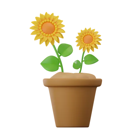 Tournesol  3D Icon