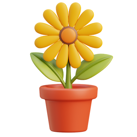 Tournesol  3D Icon