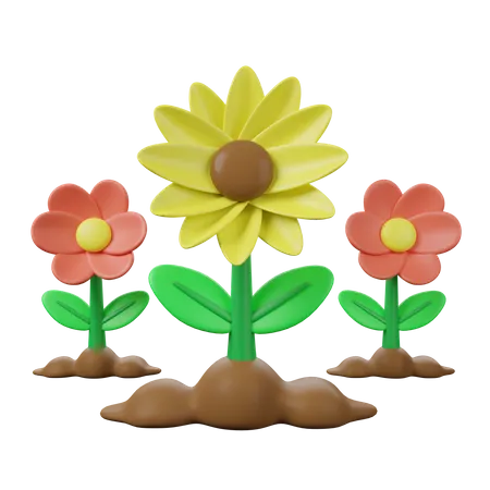 Tournesol  3D Icon