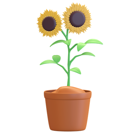 Icône de fleur de soleil en pot  3D Illustration