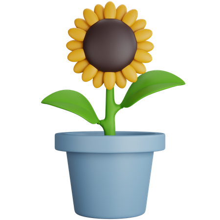 Plante de tournesol  3D Icon