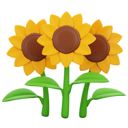 Tournesols  3D Icon