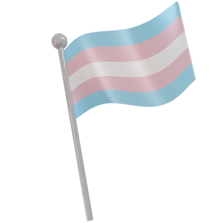 Transgender Flag  3D Flag