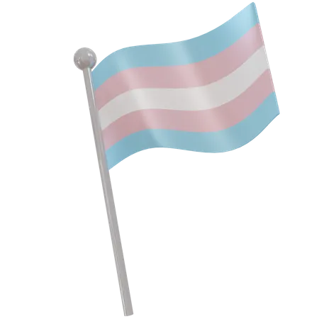 Transgender Flag  3D Illustration