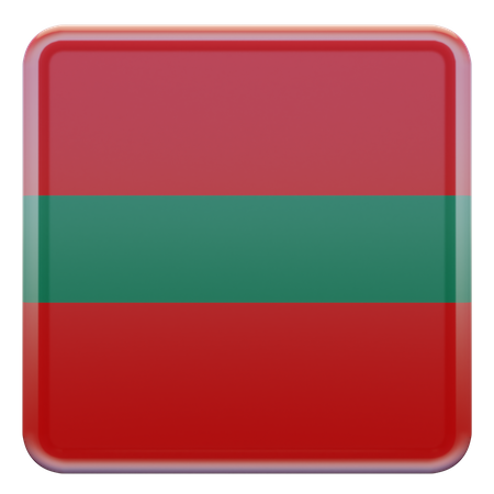 Transnistria Flag  3D Flag