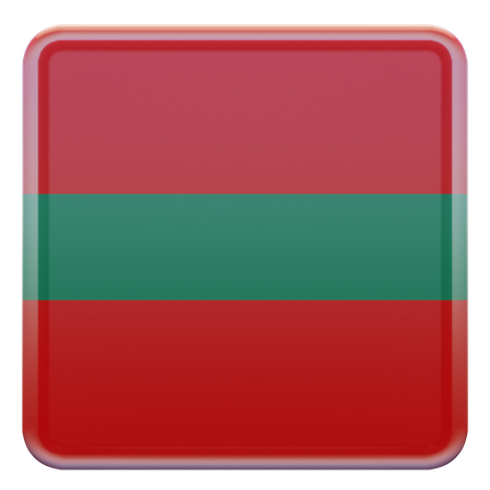 Transnistrien-Flagge  3D Flag