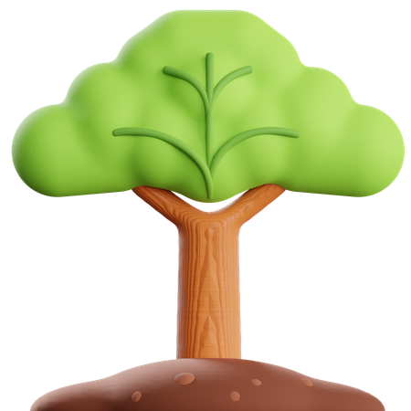 Tree  3D Icon