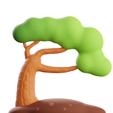 Tree  3D Icon