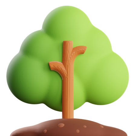 Tree  3D Icon