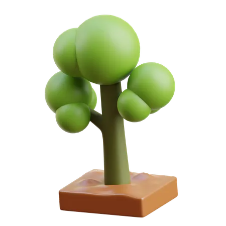 Tree  3D Icon