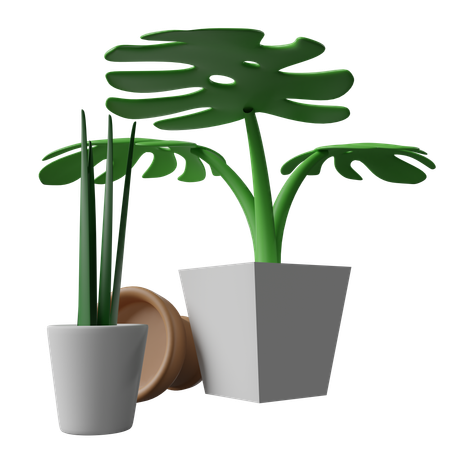 Tree Decorate  3D Icon
