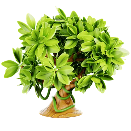 Tree of Life  3D Icon