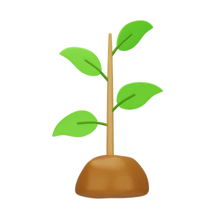 Tree Plantation  3D Icon