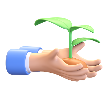 Tree plantation  3D Icon