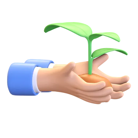 Tree plantation  3D Illustration