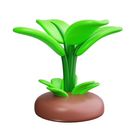 Tree Roots  3D Icon