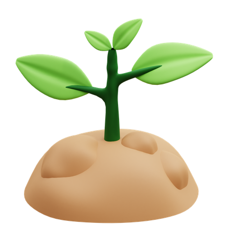Tree Seeds  3D Icon