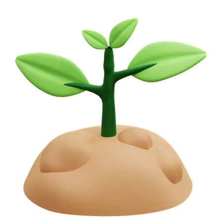 Tree Seeds  3D Icon