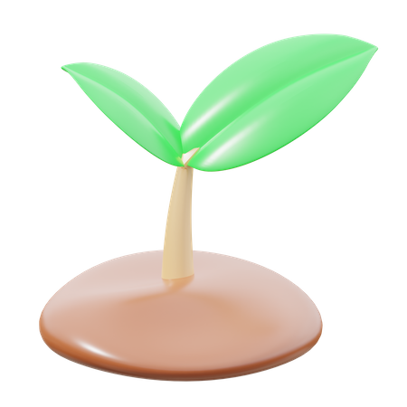 Tree seeds  3D Icon