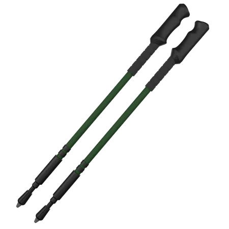 Trekking Poles  3D Icon