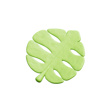 Tropical leaf  3D Icon