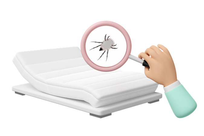 Trouver des punaises de lit à partir d'un drap  3D Icon