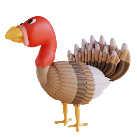 Truthahn Vogel  3D Icon