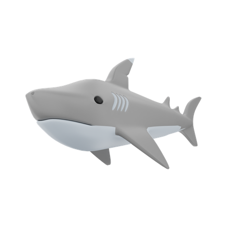 Peixe tubarão  3D Icon