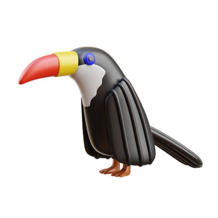 Tucán  3D Icon