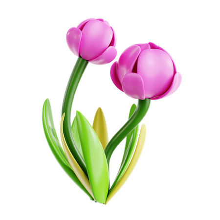 Tulip  3D Icon