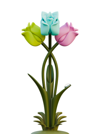 Tulip  3D Icon