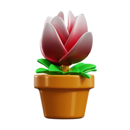 Tulip  3D Icon