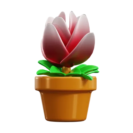 Tulip  3D Icon