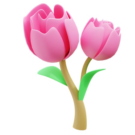 Tulip  3D Icon