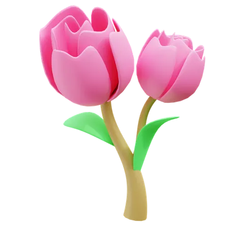 Tulip  3D Icon
