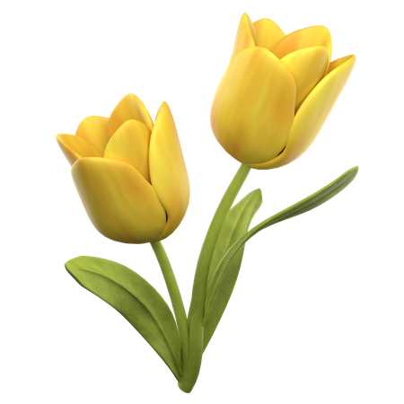 Tulip  3D Icon