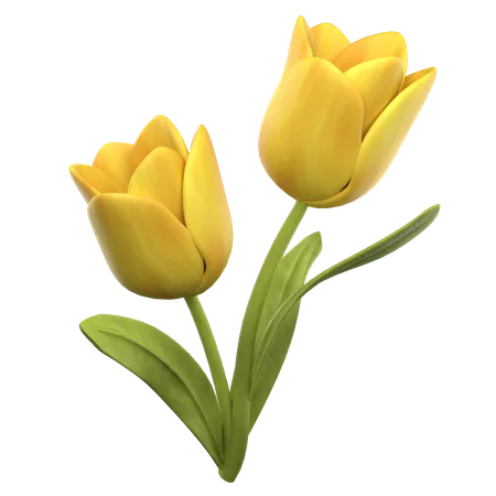 Tulip  3D Icon