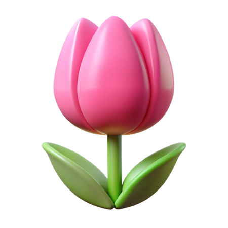 Tulip  3D Icon