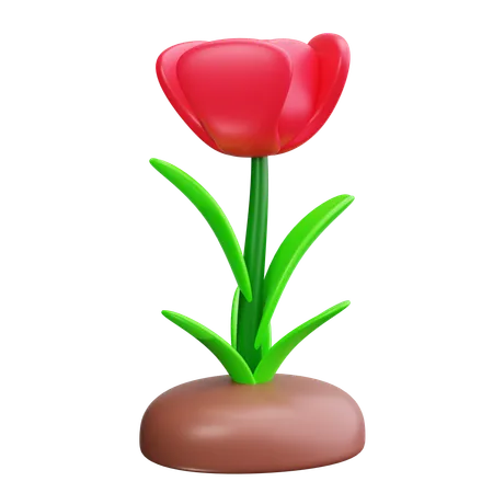 Tulip  3D Icon