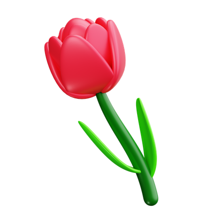 Tulip  3D Icon