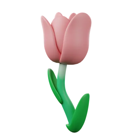 Tulip  3D Icon