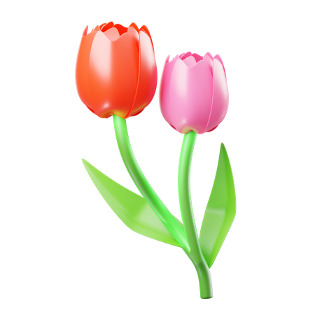 Tulip  3D Icon