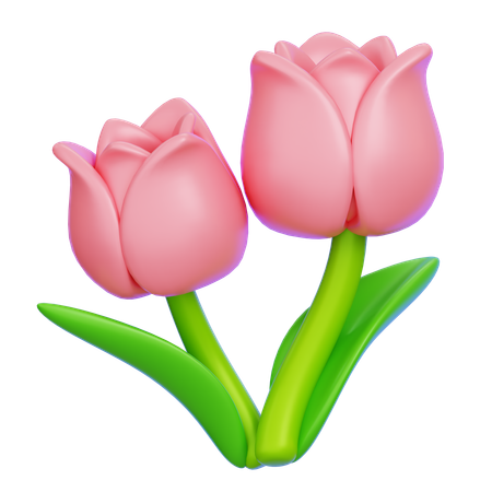 Tulip  3D Icon