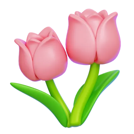 Tulip  3D Icon